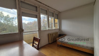 Debrecen, Close To Main Campus, flat  