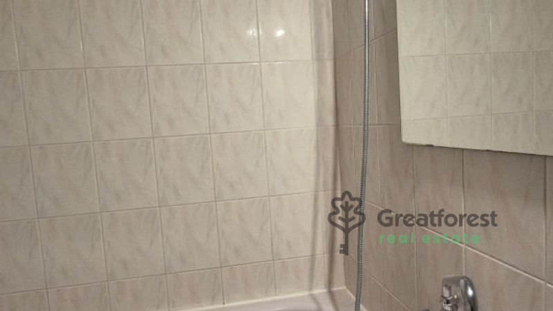 Debrecen, Close To Main Campus, flat  