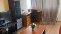 Debrecen, Close To Main Campus, flat  