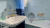 Debrecen, Greatforest Area, flat  