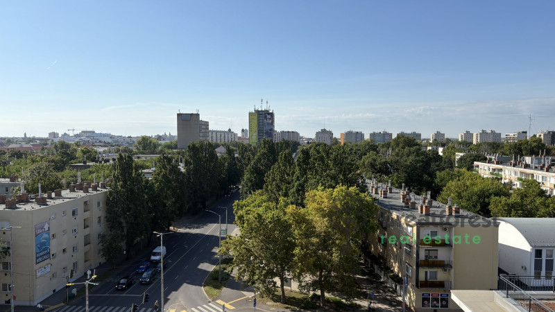 Debrecen, Greatforest Area, flat  