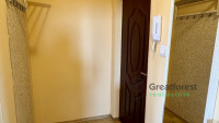 Debrecen, Greatforest Area, flat  