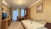 Debrecen, Close To Plaza, flat  