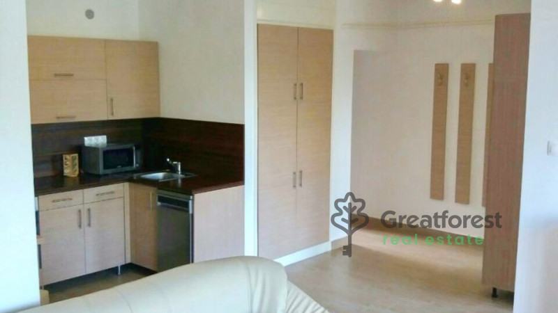 Debrecen, Greatforest Area, flat  