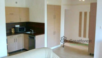 Debrecen, Greatforest Area, flat  