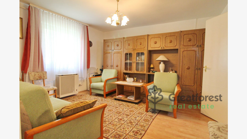 Debrecen, Biczó István kert, family house in periferical area  