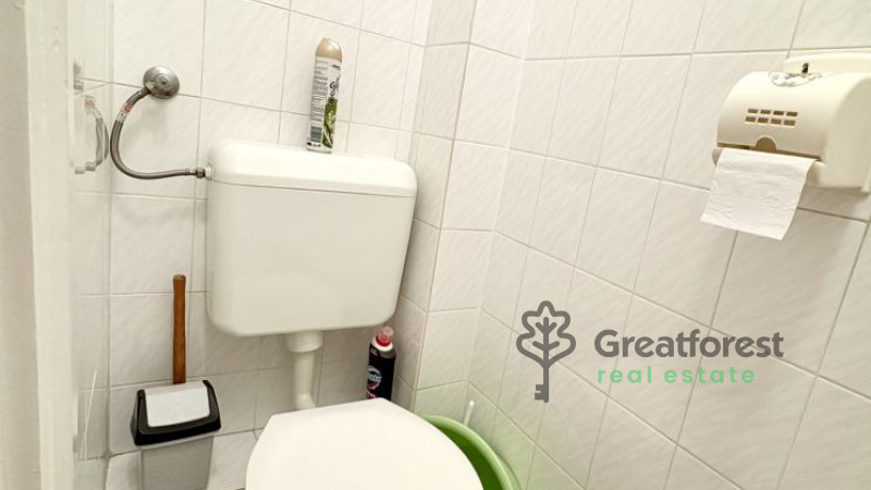Debrecen, Greatforest Area, flat  