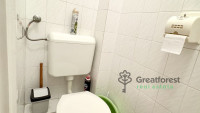 Debrecen, Greatforest Area, flat  