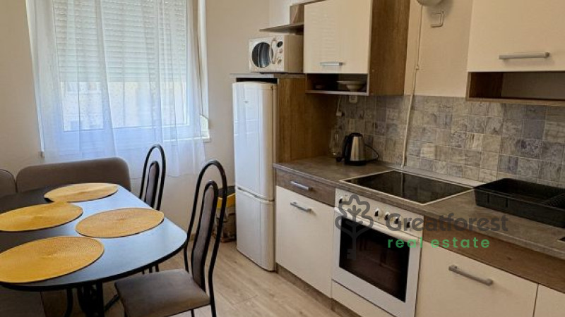Debrecen, Close To Main Campus Agricult. Unversity, block of flats  