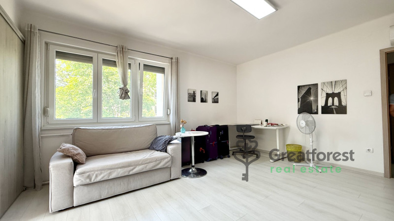 Debrecen, Close To Main Campus, flat  