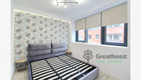Debrecen, City Center, flat  