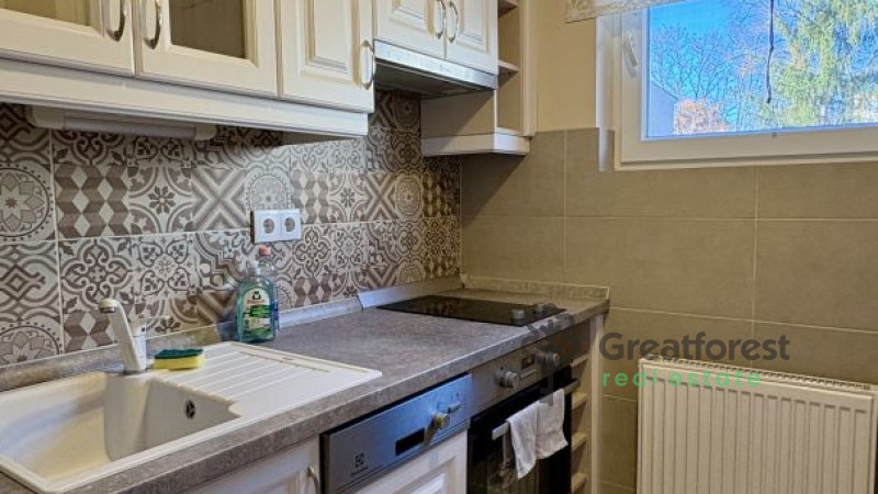 Debrecen, Greatforest Area, flat  