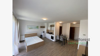 Debrecen, City Center, flat  