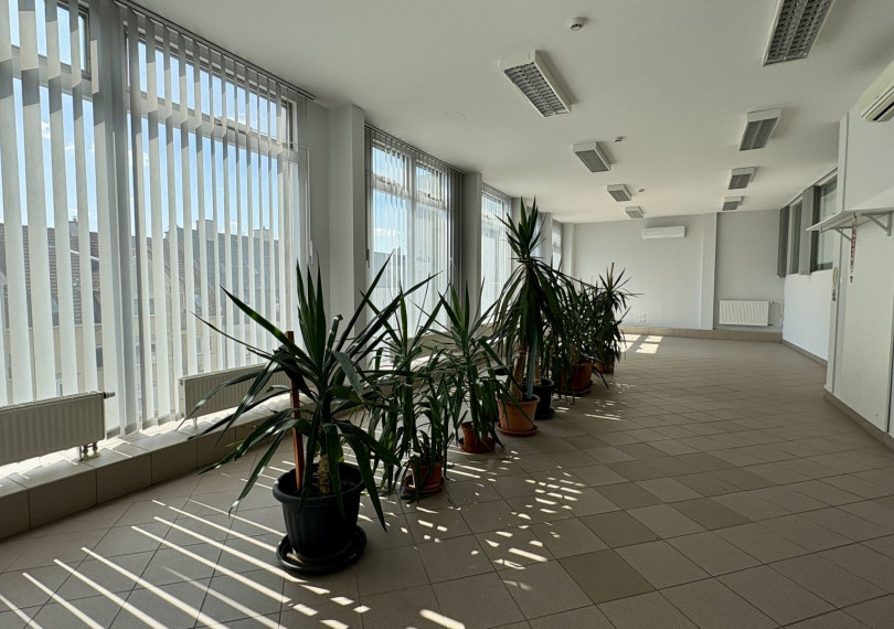 Office In Office Building