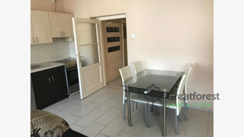 Debrecen, City Center, flat  