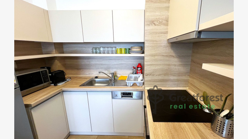 Debrecen, Close To Main Campus, flat  