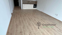 Debrecen, flat  
