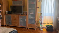 Debrecen, Greatforest Area, flat  