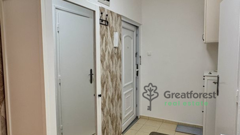 Debrecen, Greatforest Area, flat  