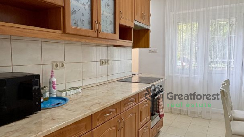 Debrecen, Greatforest Area, flat  