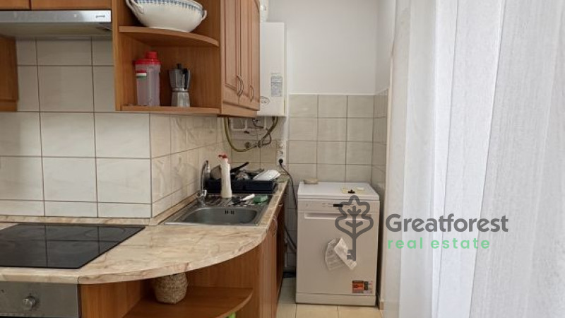Debrecen, Greatforest Area, flat  