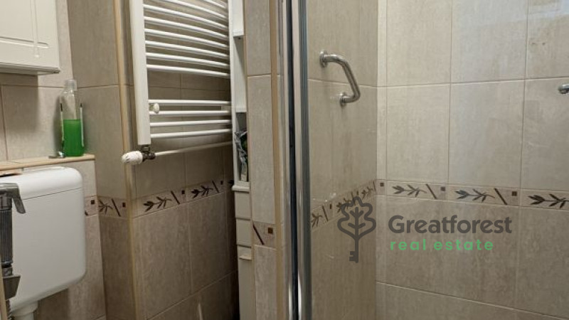 Debrecen, Greatforest Area, flat  