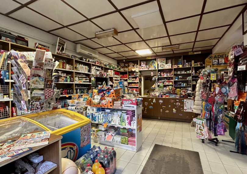 Commercial Premises Not In Shopping Center