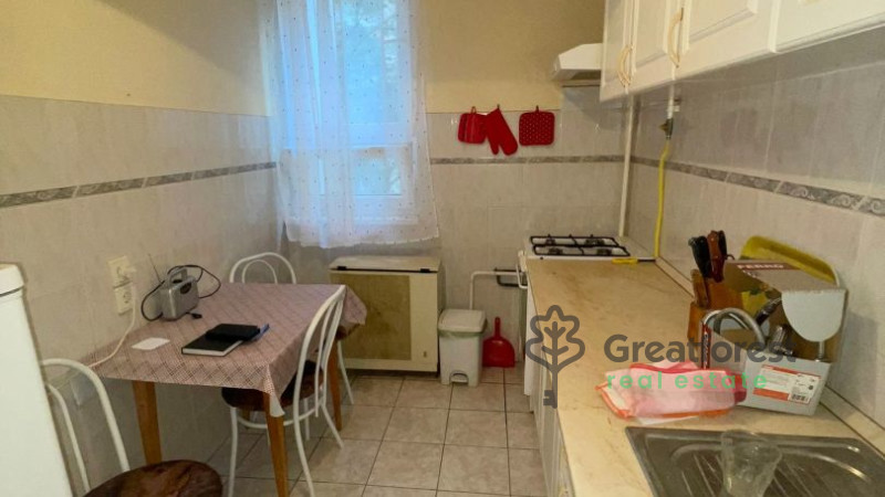 Debrecen, Close To Main Campus, flat  