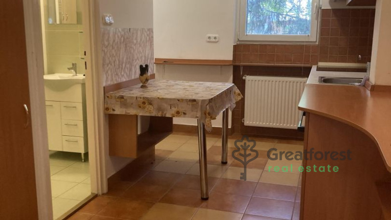 Debrecen, Main Campus Area, flat  