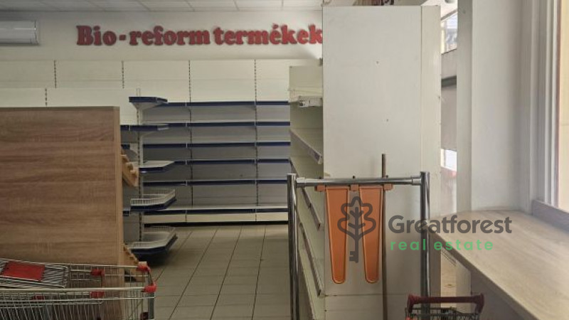 Debrecen, Close To City Center, commercial premises not in shopping center  