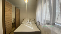 Debrecen, City Center, flat  