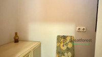 Debrecen, City Center, flat  
