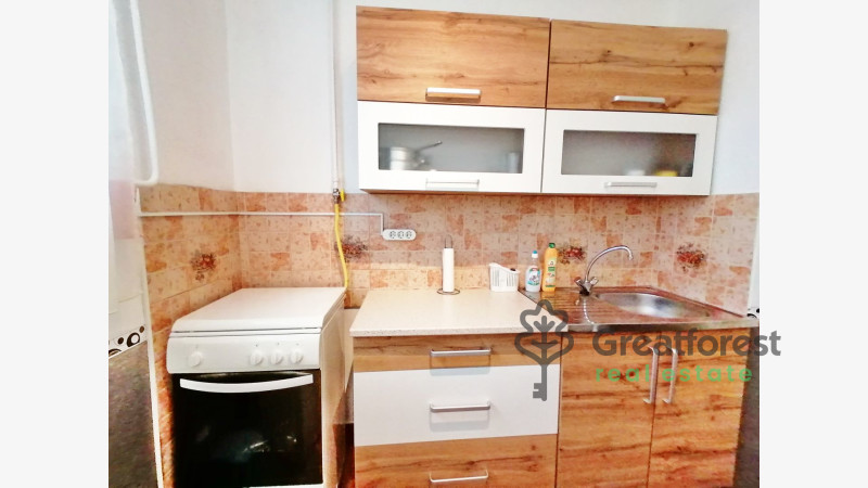 Debrecen, Close To Main Campus, flat  