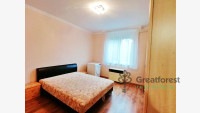 Debrecen, Close To Main Campus, flat  