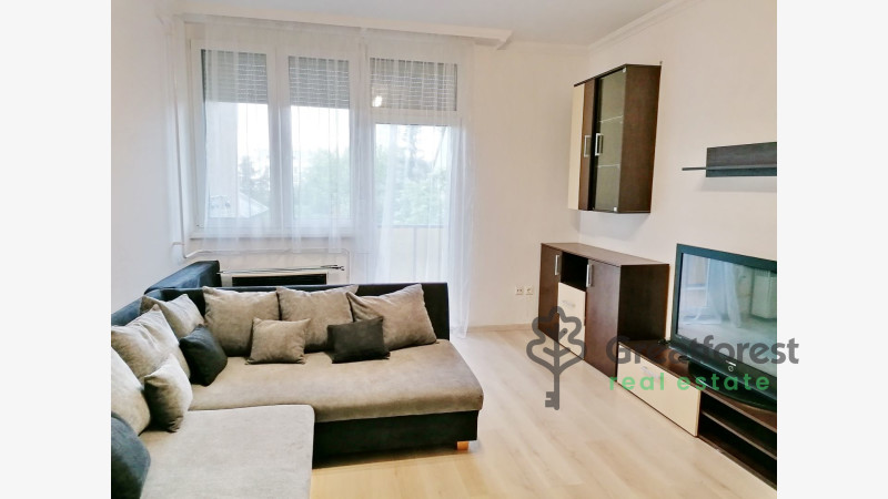 Debrecen, Close To Main Campus, flat  