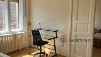 Debrecen, City Center, flat  
