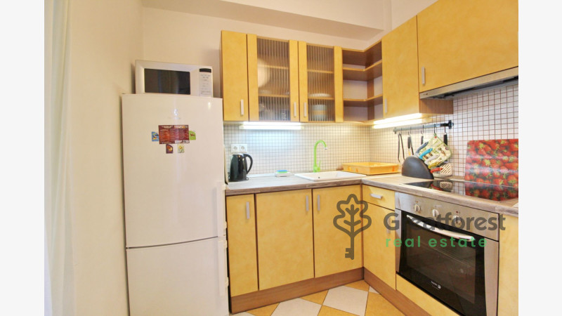 Debrecen, City Center, flat  