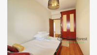 Debrecen, City Center, flat  