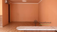 Debrecen, City Center, flat  
