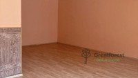Debrecen, City Center, flat  
