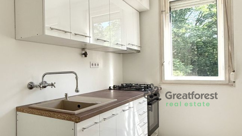 Debrecen, Greatforest Area, flat  