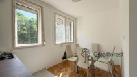 Debrecen, Greatforest Area, flat  
