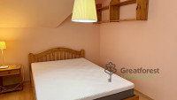 Debrecen, Close To Main Campus, flat  
