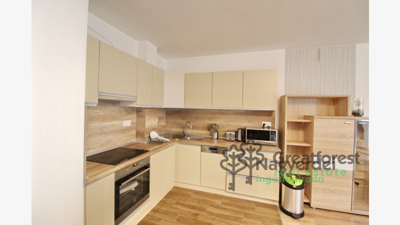 Debrecen, Close To Main Campus, flat  