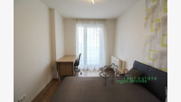 Debrecen, Close To Main Campus, flat  