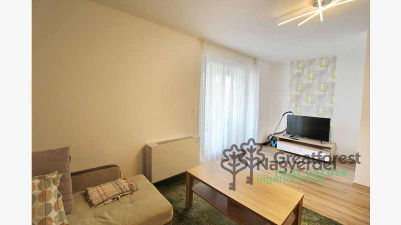 Debrecen, Close To Main Campus, flat  