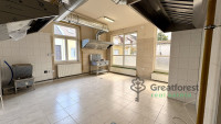 Debrecen, Close To City Center, commercial premises not in shopping center  