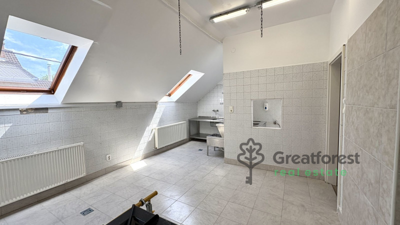 Debrecen, Close To City Center, commercial premises not in shopping center  