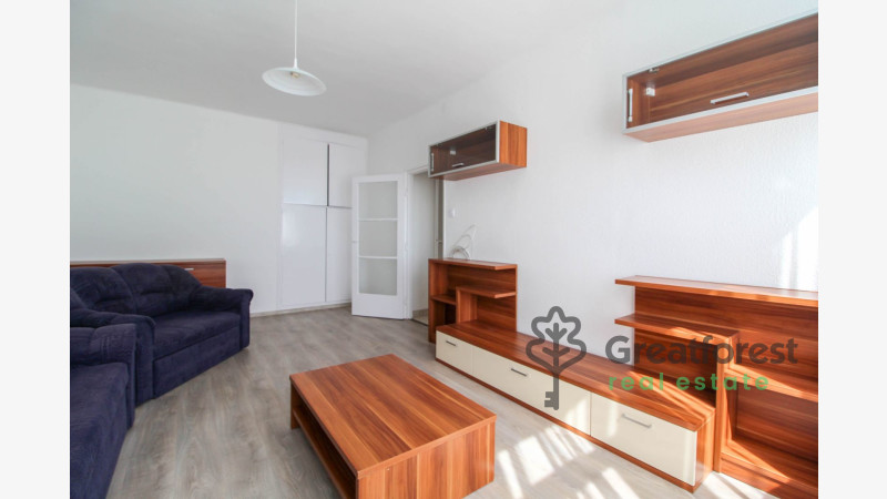Debrecen, Greatforest Area, flat  