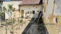 Debrecen, Agricultural Uni Area, family house  